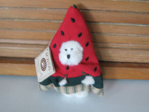 Augustbeary-Boyds Bears QVC Ornament #99000V *