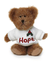 HOPE-BOYDS MINI MESSAGE BEARS #567054 *