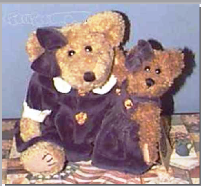 Mother Bearston & Bluebell-Boyds Bears #C49883 QVC Exclusive ***Hard to Find*** *