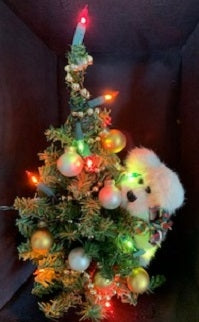 Decorating the Treee-Boyds Bears Judith G Exclusive ***RARE***