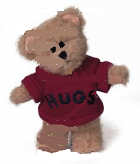 Hugs-Boyds Mini Message Bears #567005 *