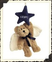 H.B. Starcatcher...Hope!-Boyds Bears Ornament #562407 *