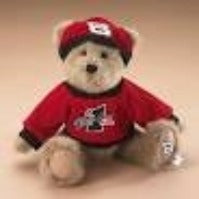 Dale Earnhardt Jr.-Boyds Racing Bears #919254