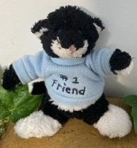 #1 Friend-Boyds Bears Mini Message Kitten Cat #82039 ***HARD to FIND***