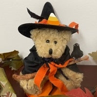 Bearwitched-Boyds Bears Halloween Judith G Exclusive ***RARE***