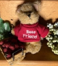 Bestie-Boyds Mini Message Best Friend Bears #567073 ***Hard to Find**