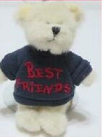 BUD...BEST FRIENDS-BOYDS MINI MESSAGE BEARS #567001