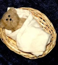 Baby Jesus-Boyds Bears Nativity Bear #567957