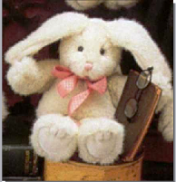 Flossie B. Hopplebuns-Boyds Bears Bunny Rabbit Hare #56481-10