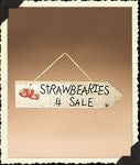 Strawbearies 4 Sale Sign-Boyds Bears #654946